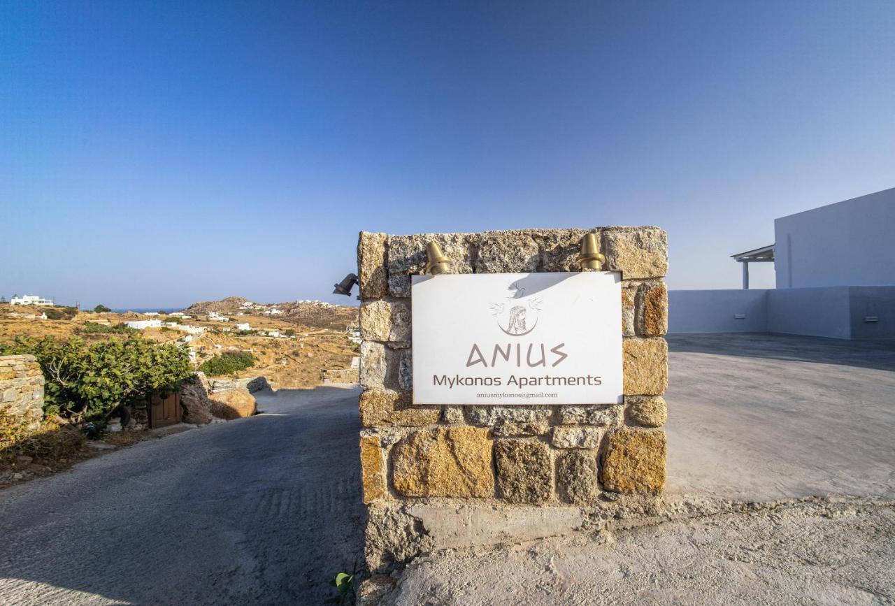Anius Mykonos Town